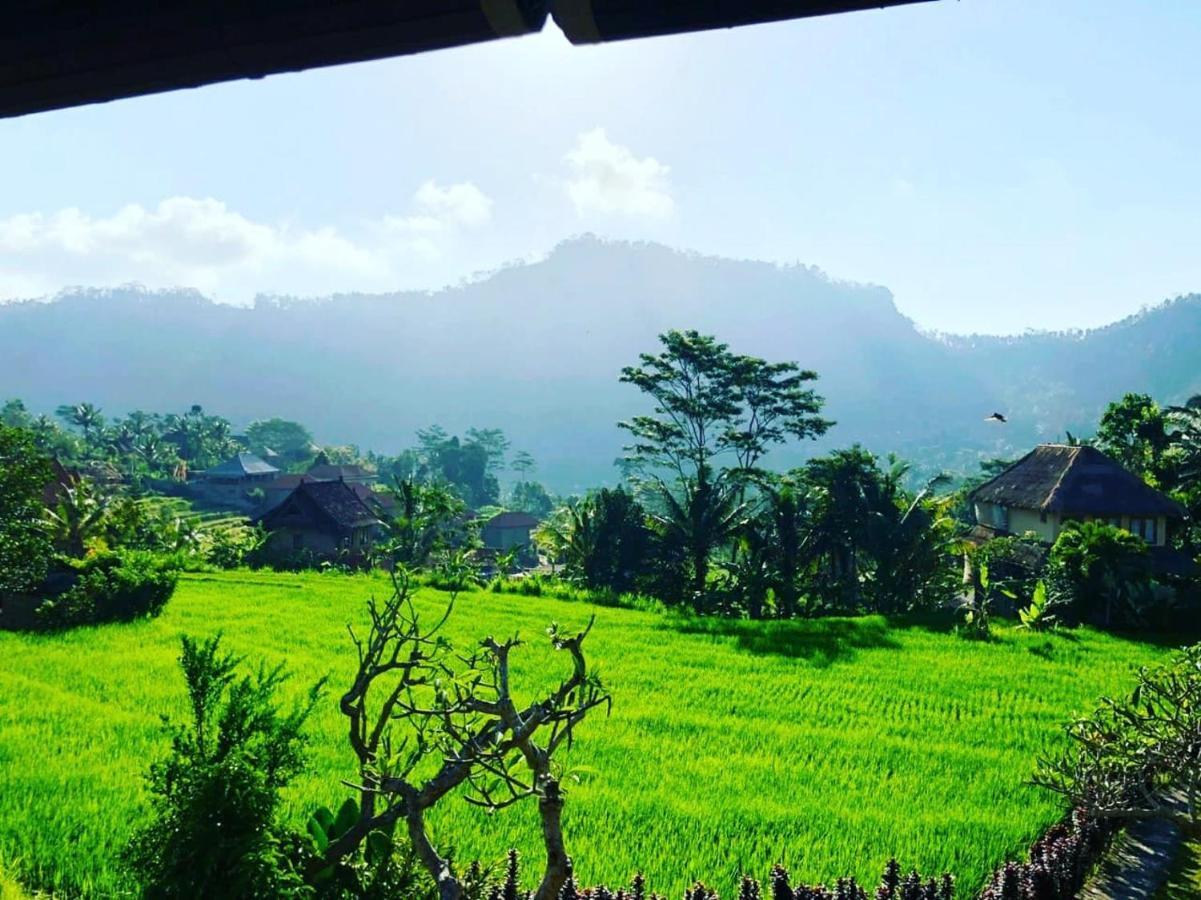 Noka Homestay Sidemen  Bagian luar foto
