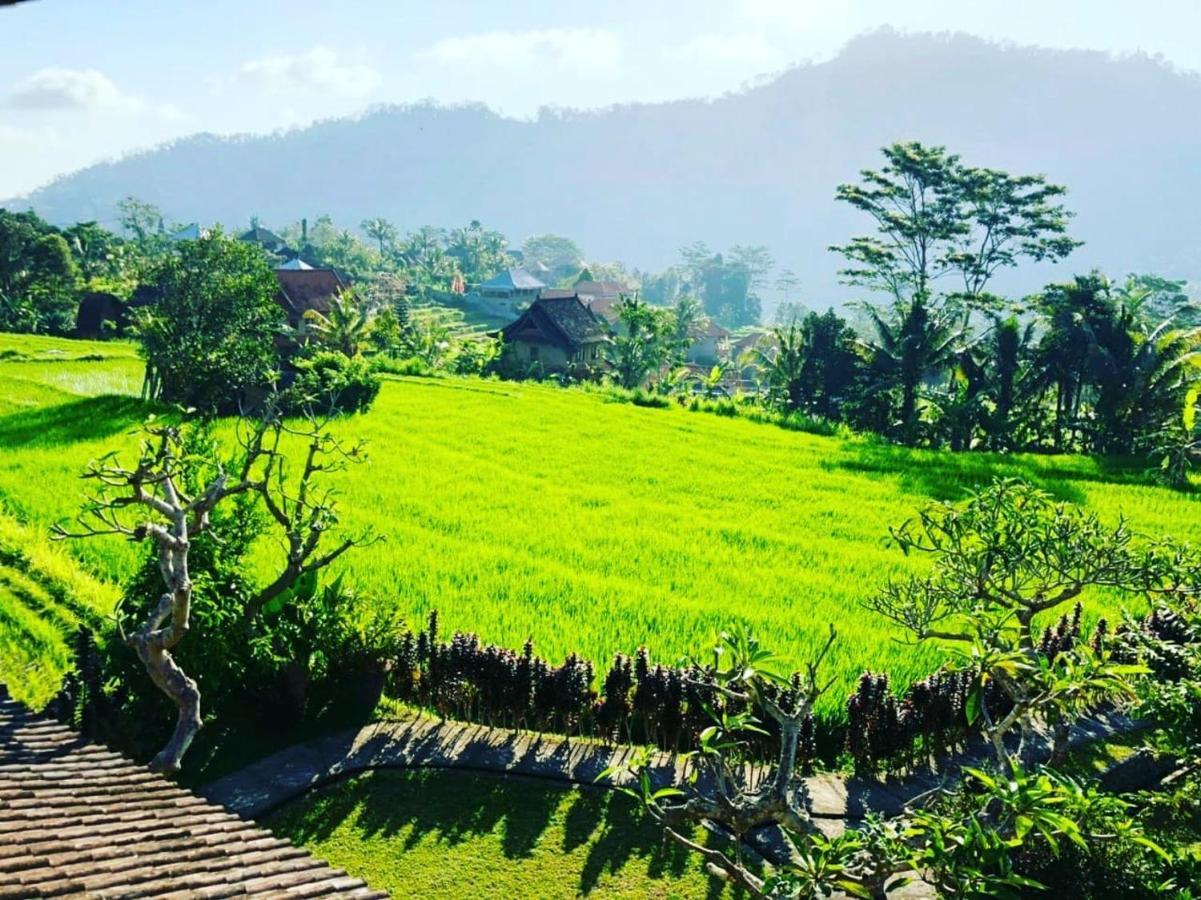 Noka Homestay Sidemen  Bagian luar foto
